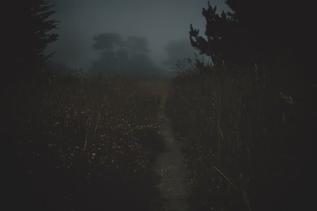 Common Causes of Poor Vision After Dark
